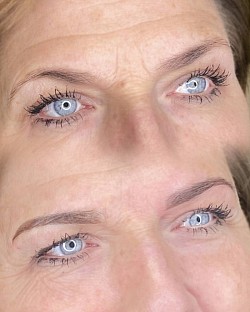 Sourcils poudrés